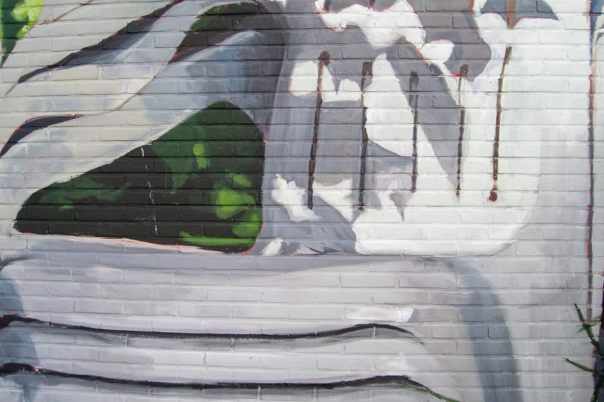 Garden Chairs — photo 4
